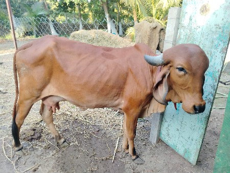 थंबनेल 3