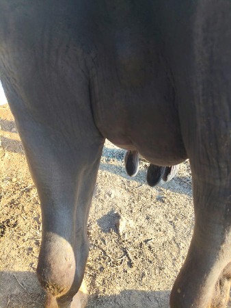 थंबनेल 2