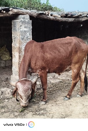 थंबनेल 3