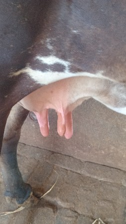 थंबनेल 2