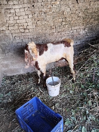 थंबनेल 2