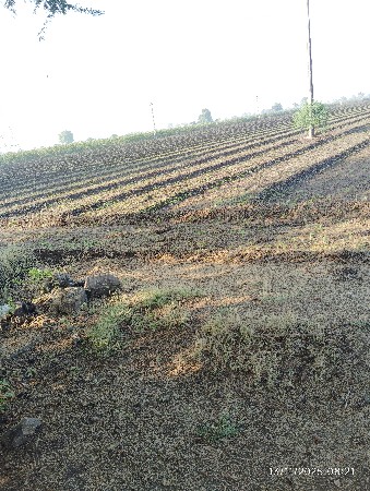 jamin le vech mate mado