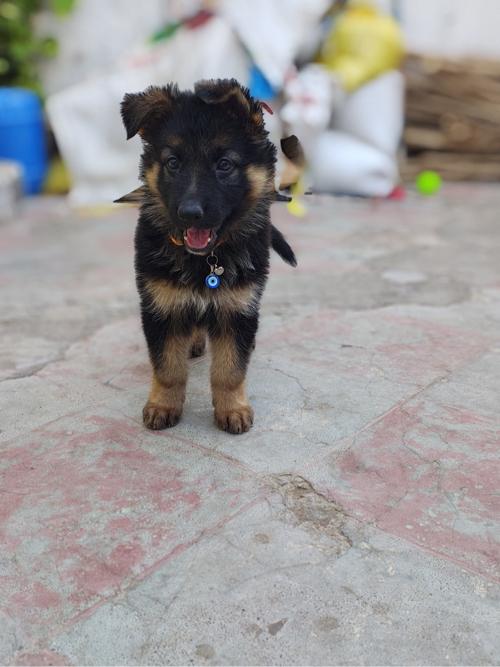 થંબનેલ 3