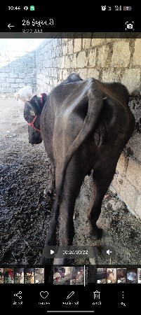 વેચવાનું