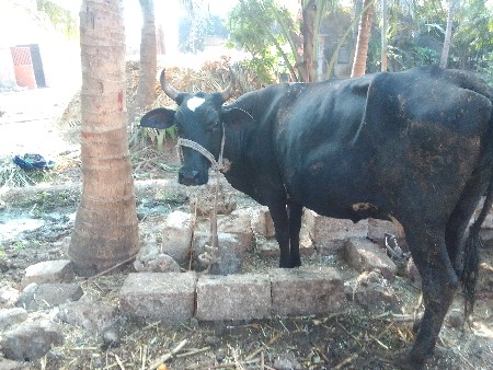 थंबनेल 2