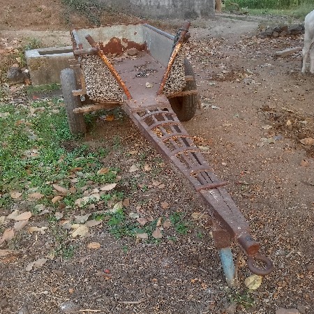 थंबनेल 3