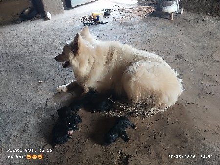 થંબનેલ 2