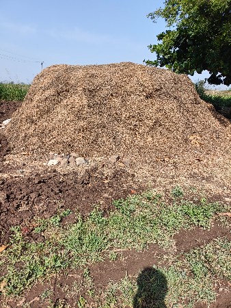 માંડવિયું વેસવાનું છે.