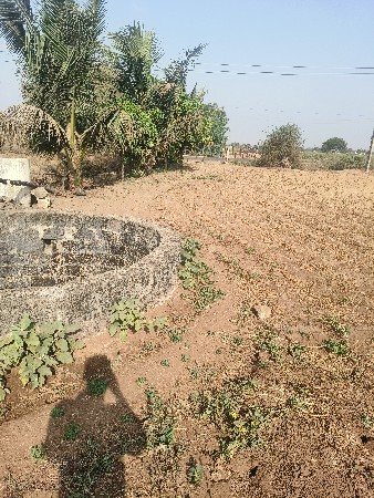 ઇસરા થી ટીટોડી  રોડ  કાઠે 10 વીઘા