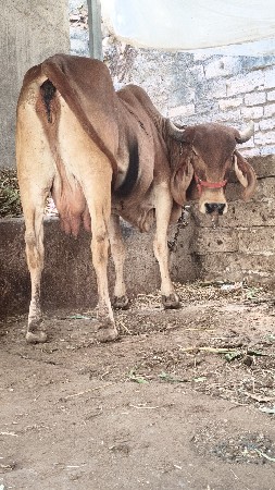 थंबनेल 2