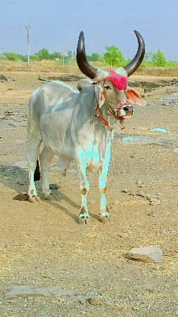 थंबनेल 2