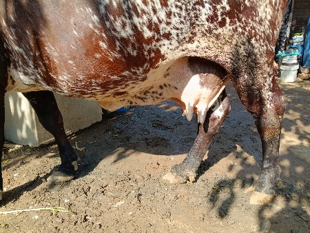 થંબનેલ 3