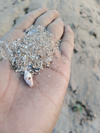 રેતી વેચવાની છે