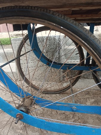 થંબનેલ 3