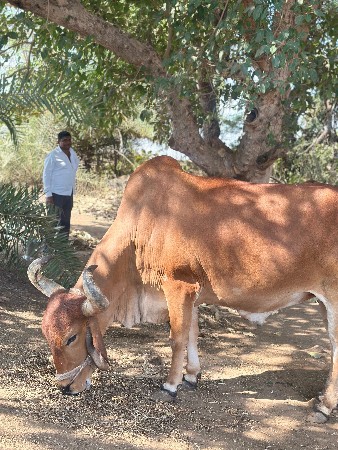 થંબનેલ 3