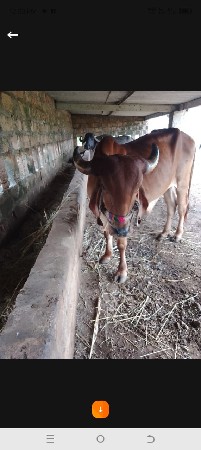 થંબનેલ 3