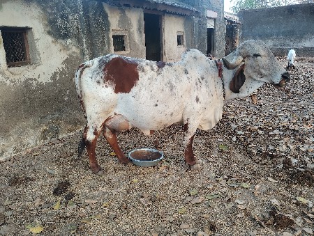 थंबनेल 2