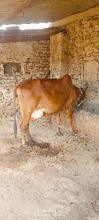 थंबनेल 6