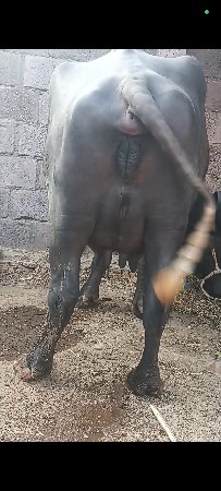 थंबनेल 2