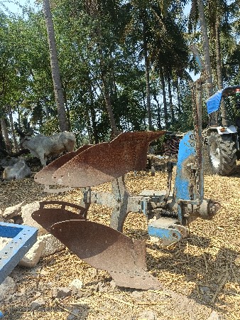 થંબનેલ 5