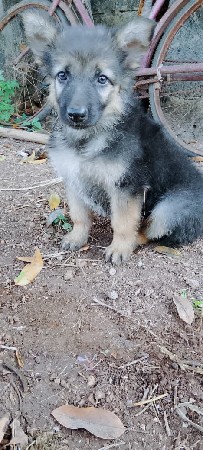 थंबनेल 2