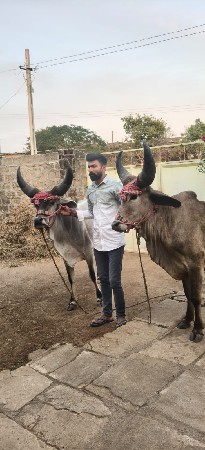 थंबनेल 2