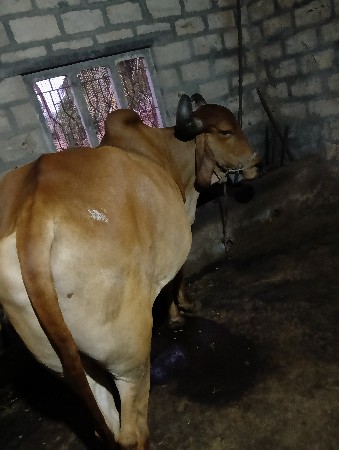 થંબનેલ 2