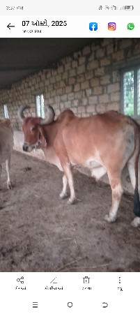 થંબનેલ 3