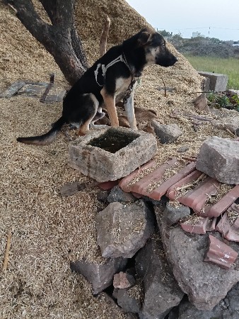 थंबनेल 2