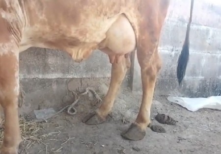 थंबनेल 2