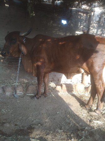 थंबनेल 2