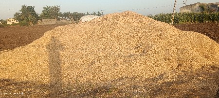 G 20 નું મગોટું 
ચણાનું ખરીયું