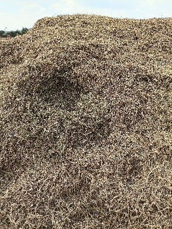 ભુકો.વેશવાનો.છે.સાવ.કોરો.ગામ.