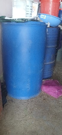 જુવાર બિયારણ