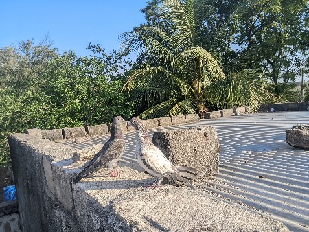 થંબનેલ 2