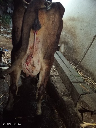 થંબનેલ 2