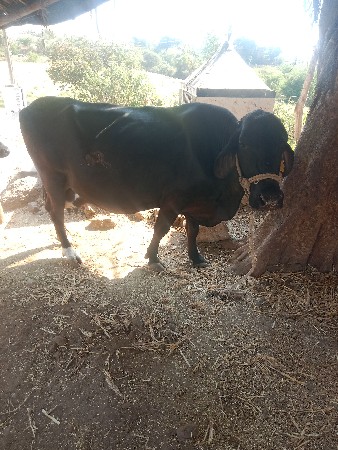 थंबनेल 2