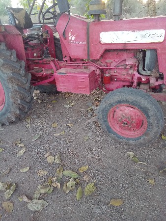 થંબનેલ 2