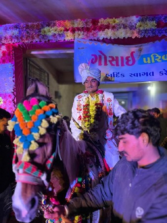 આ ઘોડી વેચવાની છે સાટા પણ કરવાના છે