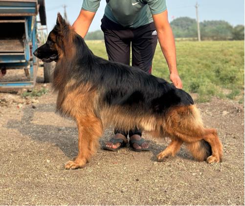 થંબનેલ 3