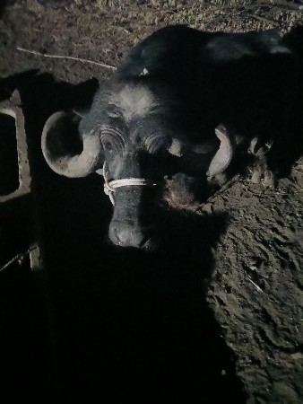 थंबनेल 2