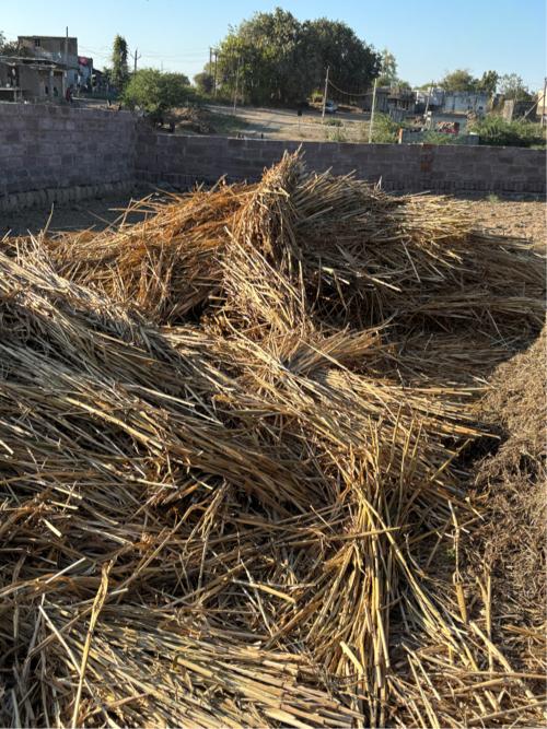 Bajra ni kadab 
G20 bhuko parlel nathi