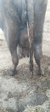 थंबनेल 2