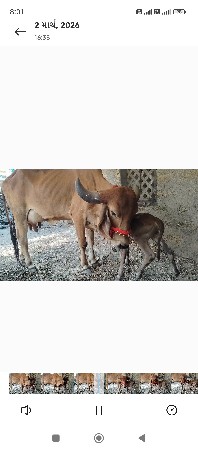 थंबनेल 2