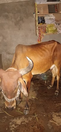 थंबनेल 2