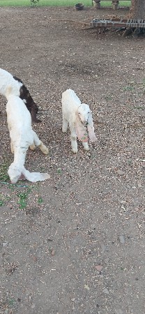 થંબનેલ 3