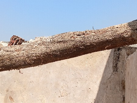 થંબનેલ 2