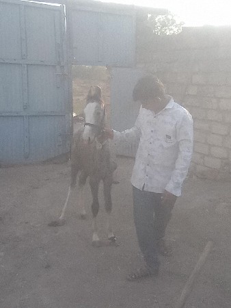 થંબનેલ 3