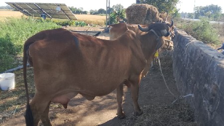 थंबनेल 3