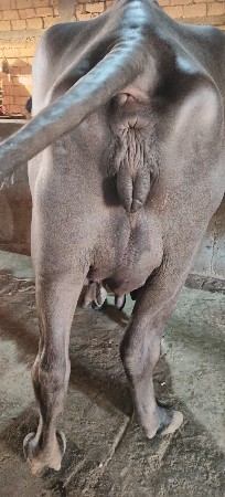 थंबनेल 2